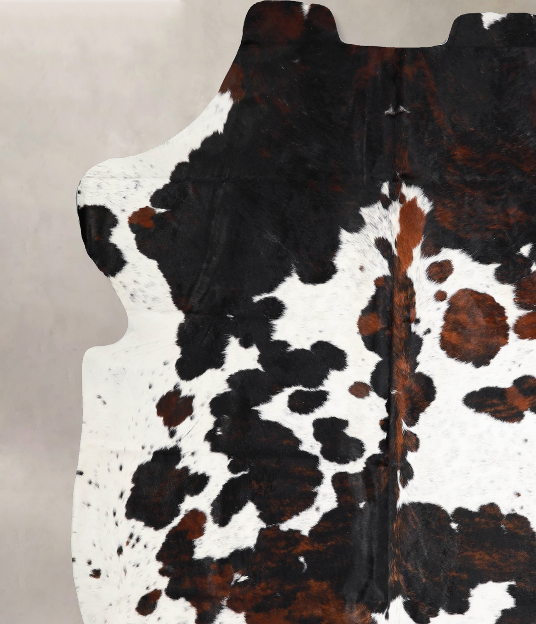 Tricolor X-Large European Cowhide Rug 7'0"H x 6'10"W #A40298 by Hudson