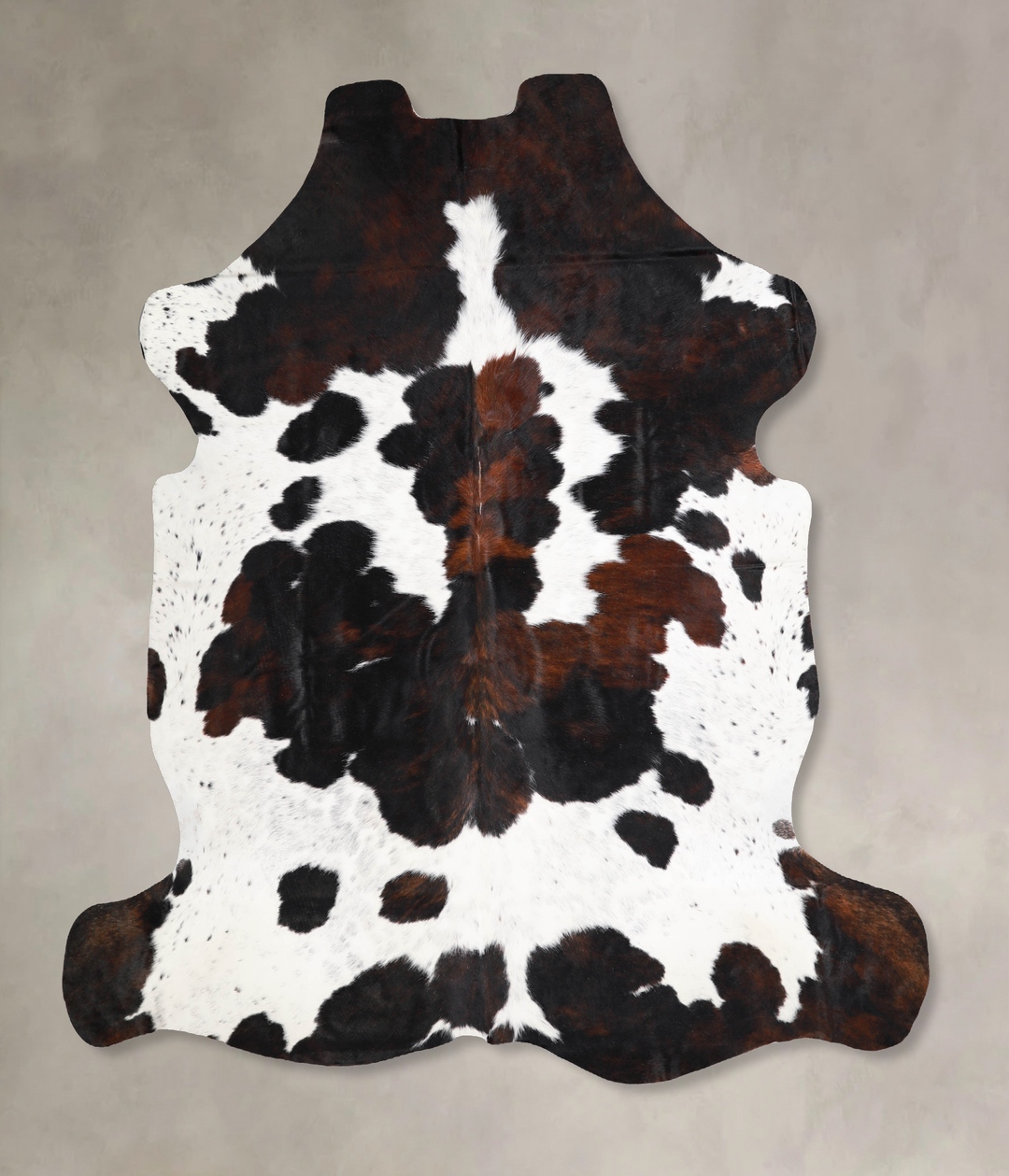 Tricolor X-Large European Cowhide Rug 6'11"H x 6'10"W #A40321 by Hudso