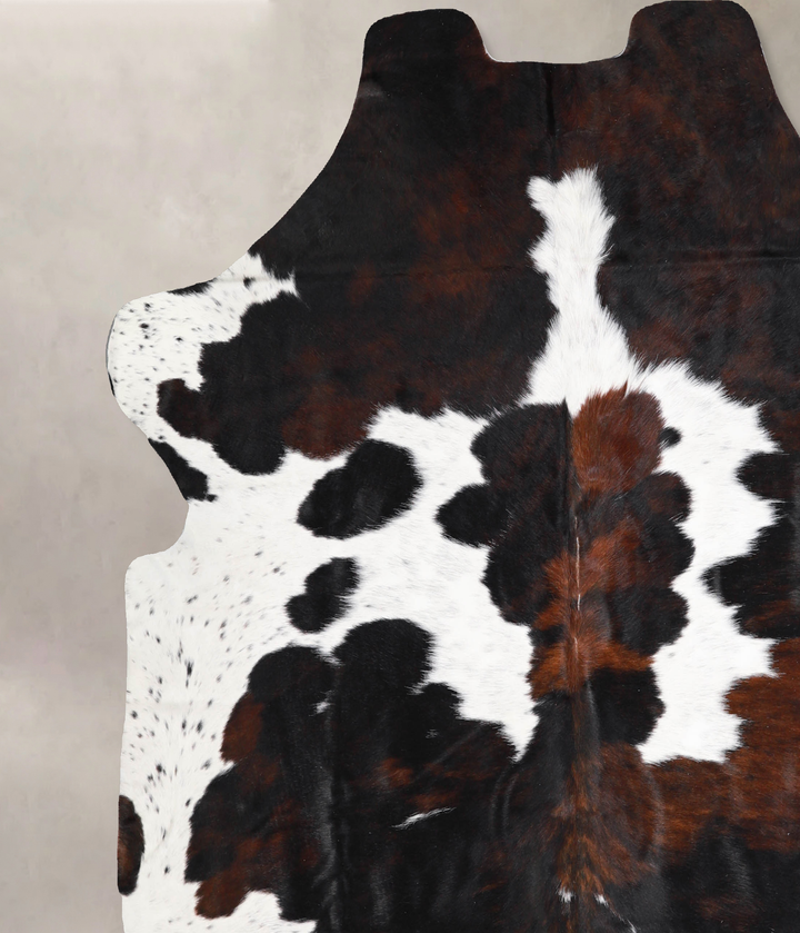 Tricolor X-Large European Cowhide Rug 6'11"H x 6'10"W #A40321 by Hudson Hides
