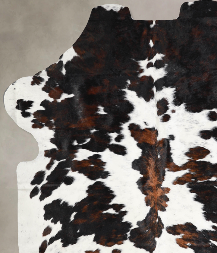Tricolor X-Large European Cowhide Rug 6'11"H x 5'10"W #A40322 by Hudson Hides