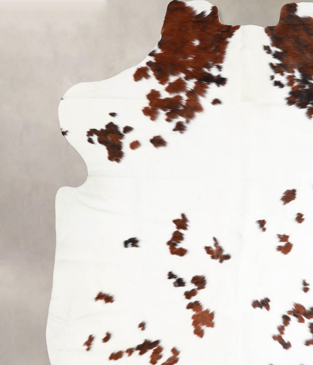 Tricolor X-Large European Cowhide Rug 6'9"H x 6'1"W #A40326 by Hudson