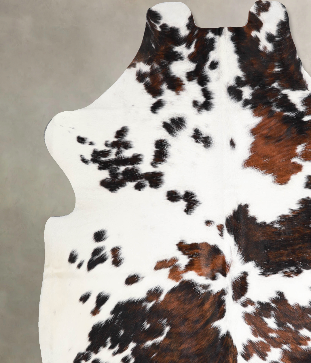 Tricolor X-Large European Cowhide Rug 6'10"H x 6'5"W #A40363 by Hudson