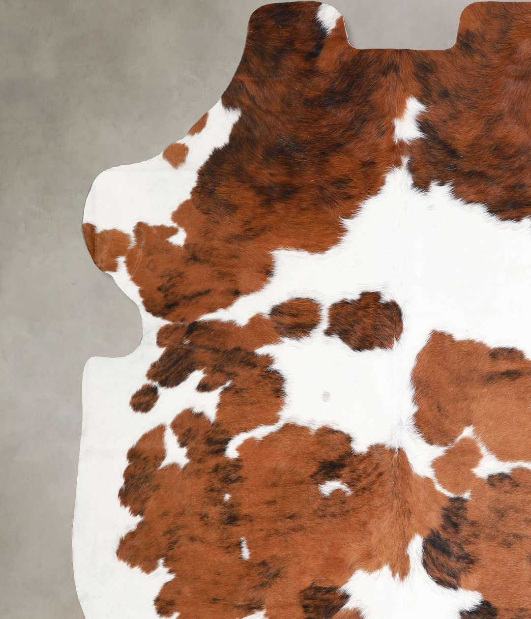 Tricolor X-Large European Cowhide Rug 6'6"H x 6'3"W #A40378 by Hudson