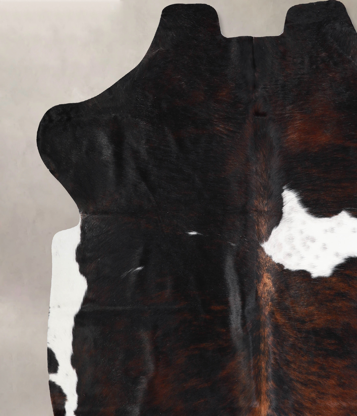 Tricolor X-Large European Cowhide Rug 6'7"H x 6'8"W #A40385 by Hudson Hides