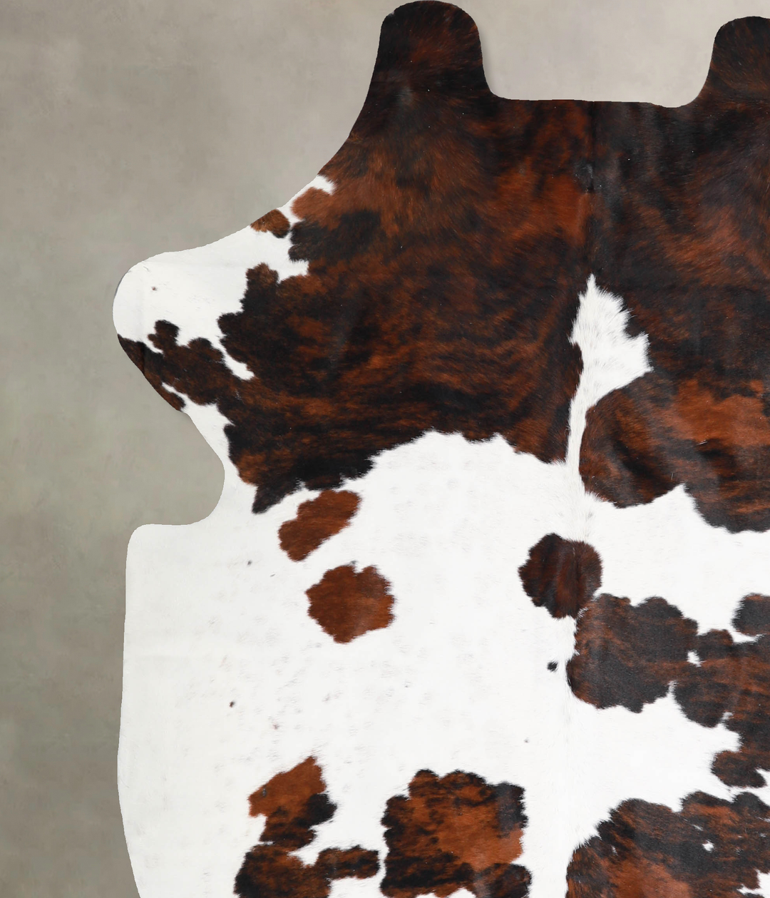 Tricolor X-Large European Cowhide Rug 6'11"H x 6'1"W #A40387 by Hudson