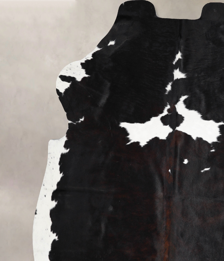 Tricolor X-Large European Cowhide Rug 6'8"H x 6'5"W #A40392 by Hudson Hides