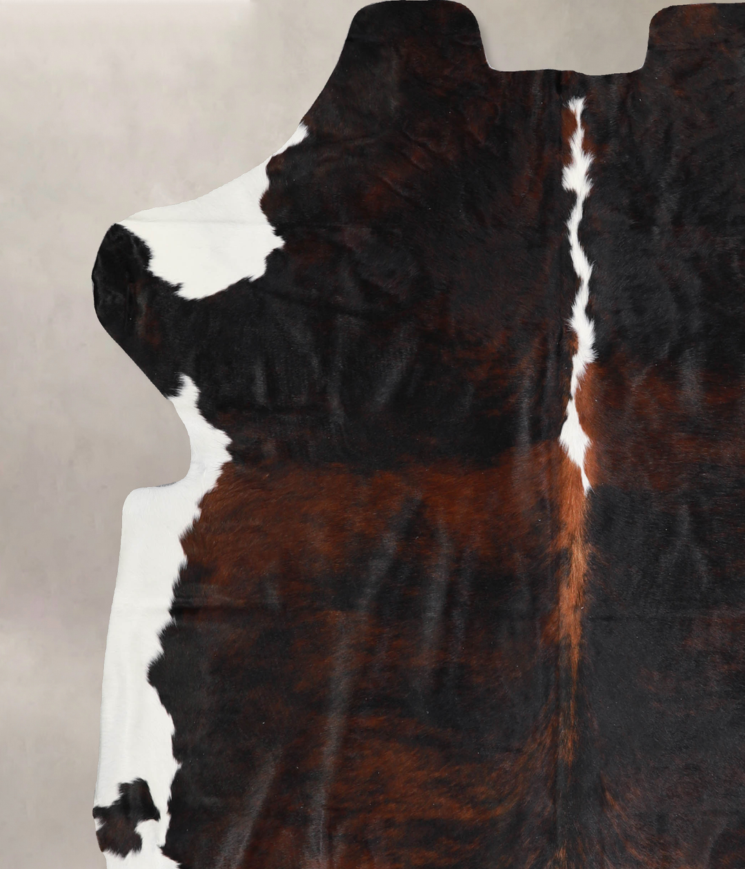 Tricolor X-Large European Cowhide Rug 6'10"H x 6'5"W #A40410 by Hudson