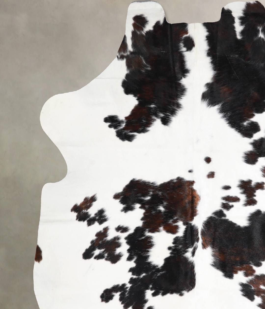 Tricolor X-Large European Cowhide Rug 6'8"H x 6'0"W #A40415 by Hudson