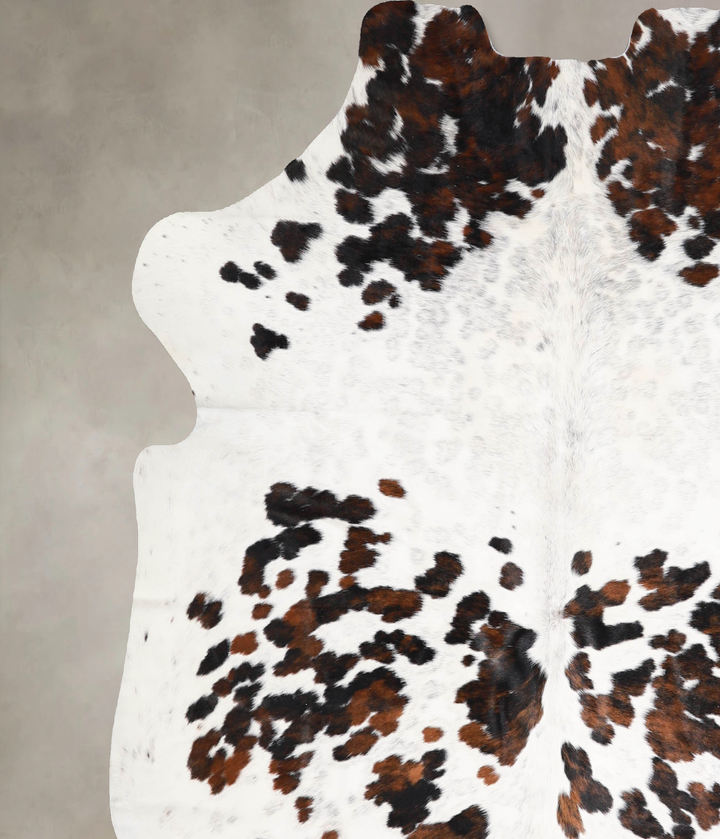 Tricolor X-Large European Cowhide Rug 6'7"H x 6'2"W #A40416 by Hudson Hides