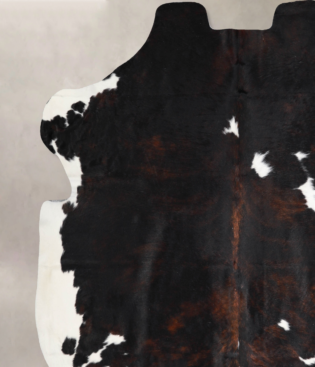 Tricolor X-Large European Cowhide Rug 6'9"H x 6'5"W #A40419 by Hudson