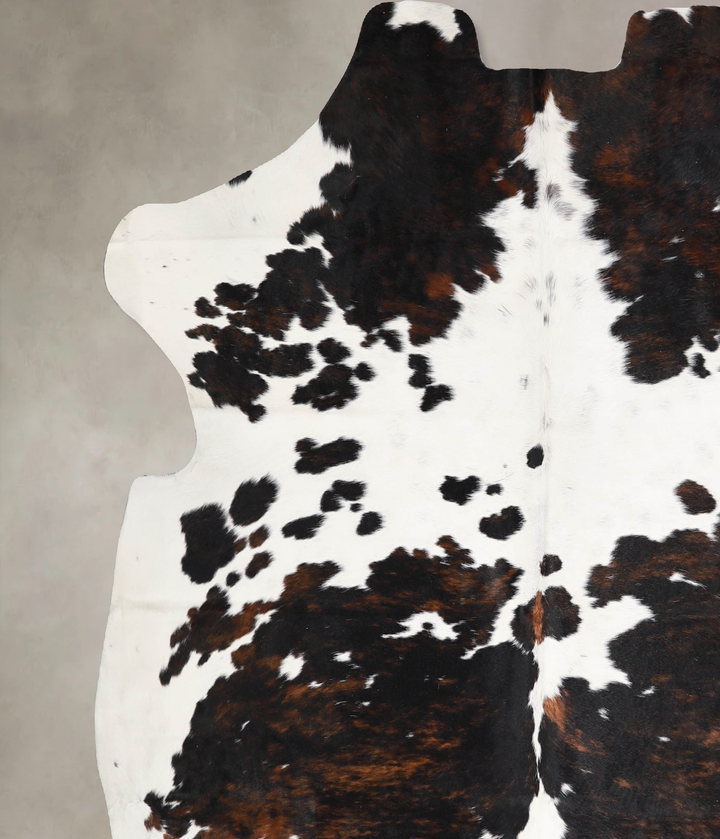 Tricolor X-Large European Cowhide Rug 6'8"H x 6'6"W #A40434 by Hudson Hides