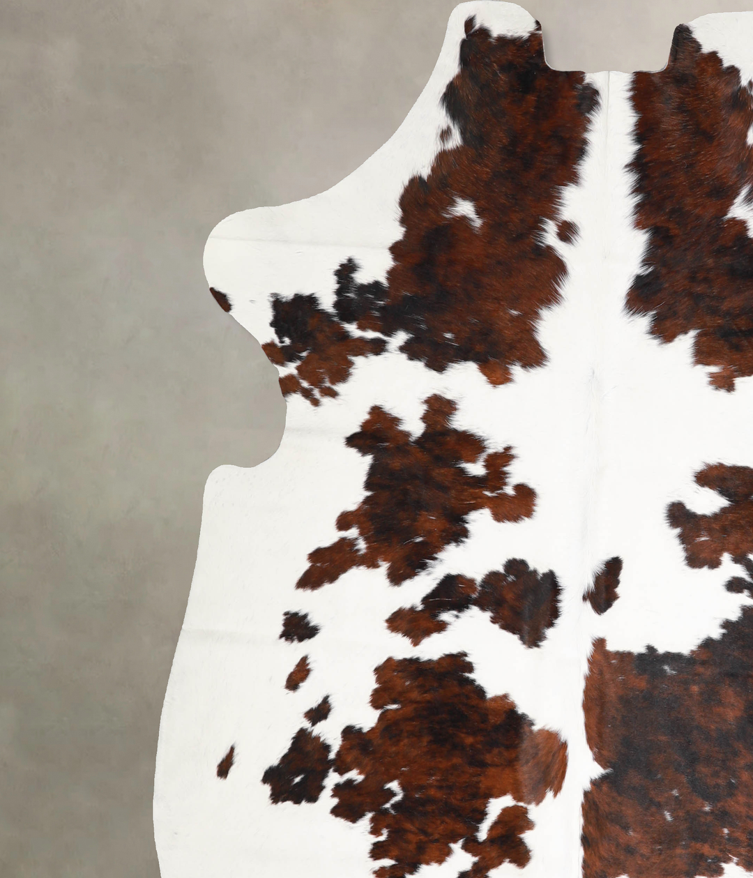 Tricolor X-Large European Cowhide Rug 6'10"H x 6'8"W #A40435 by Hudson