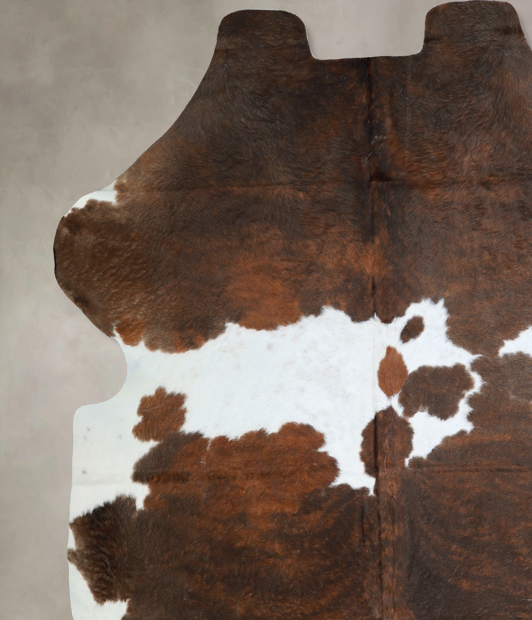 Tricolor X-Large European Cowhide Rug 7'0"H x 6'6"W #A40469 by Hudson