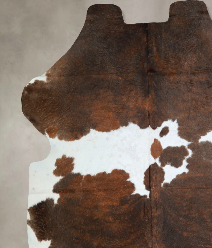 Tricolor X-Large European Cowhide Rug 7'0"H x 6'6"W #A40469 by Hudson Hides