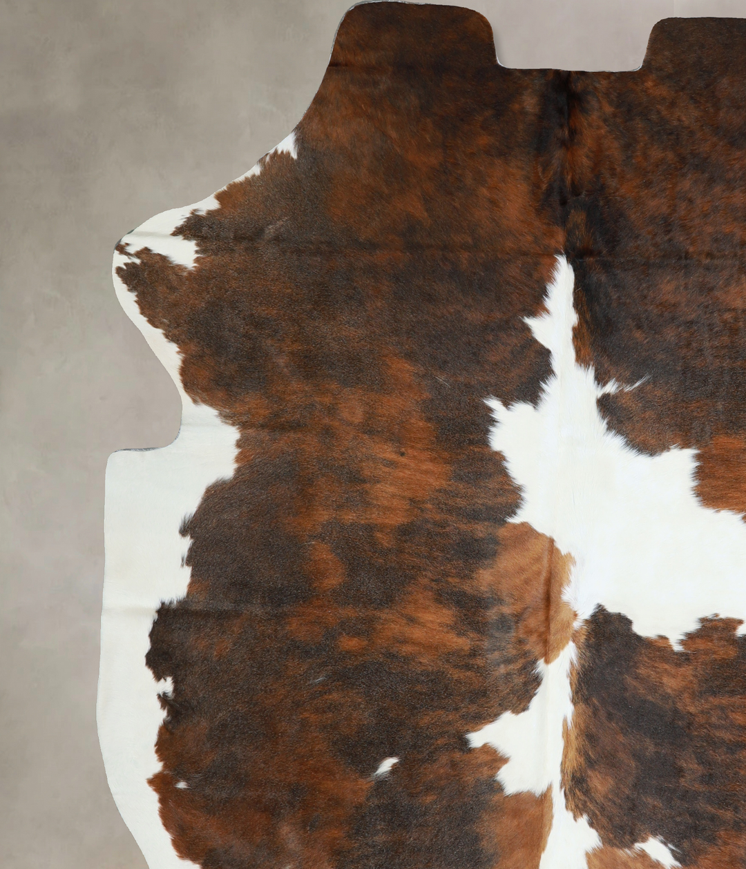 Tricolor X-Large European Cowhide Rug 7'6"H x 6'4"W #A40470 by Hudson