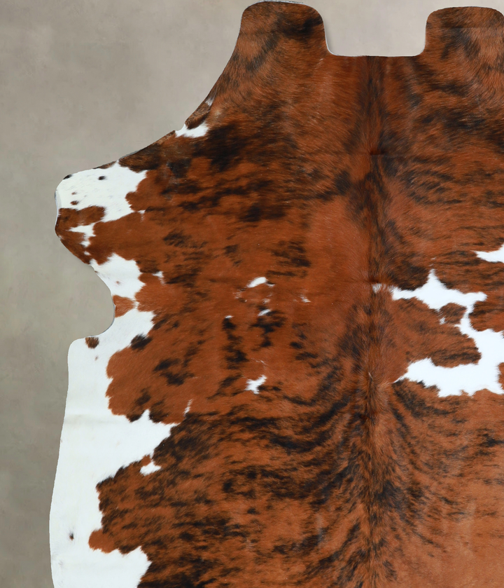Tricolor X-Large European Cowhide Rug 6'11"H x 5'9"W #A40481 by Hudson Hides