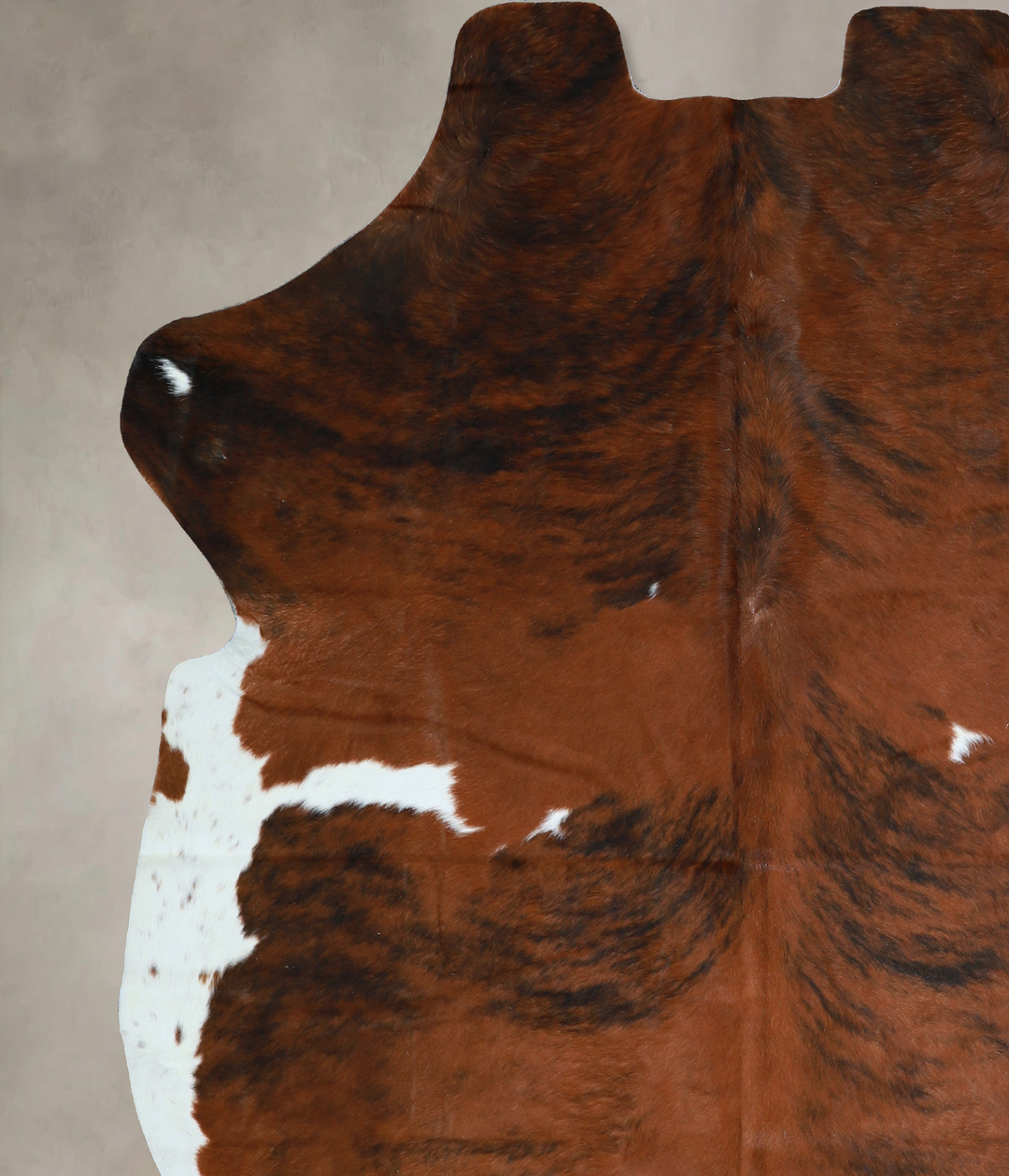 Tricolor X-Large European Cowhide Rug 6'10"H x 6'0"W #A40483 by Hudson
