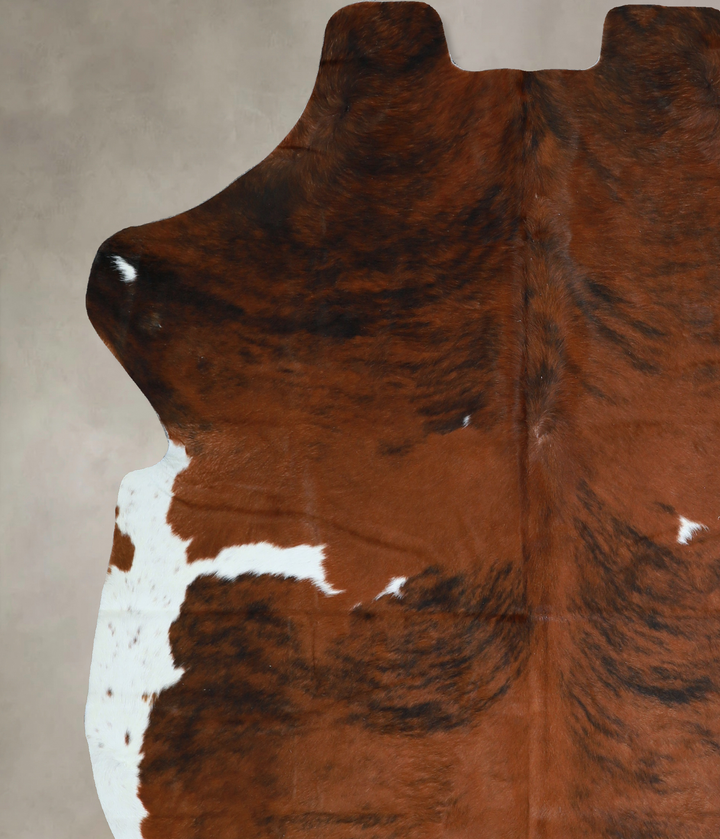 Tricolor X-Large European Cowhide Rug 6'10"H x 6'0"W #A40483 by Hudson Hides