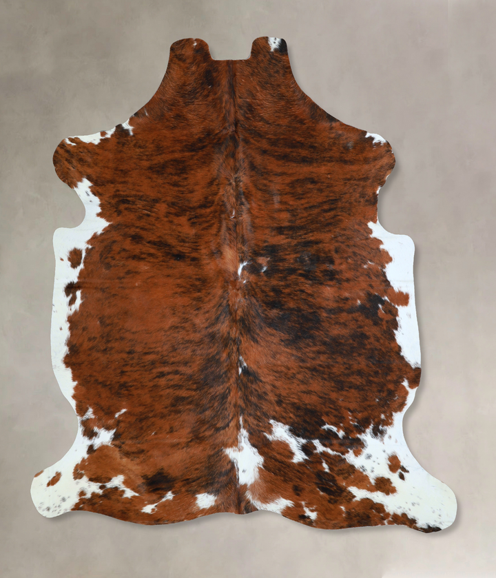 Tricolor X-Large European Cowhide Rug 6'11"H x 6'0"W #A40486 by Hudson Hides