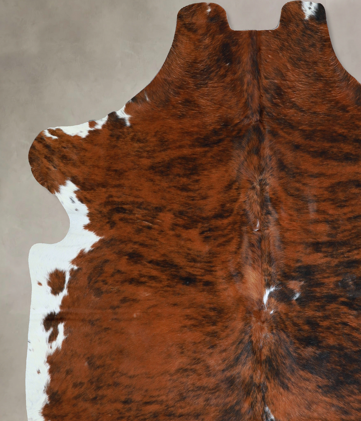 Tricolor X-Large European Cowhide Rug 6'11"H x 6'0"W #A40486 by Hudson Hides