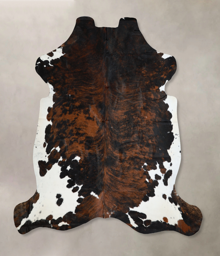 Tricolor X-Large European Cowhide Rug 6'6"H x 6'6"W #A40493 by Hudson Hides