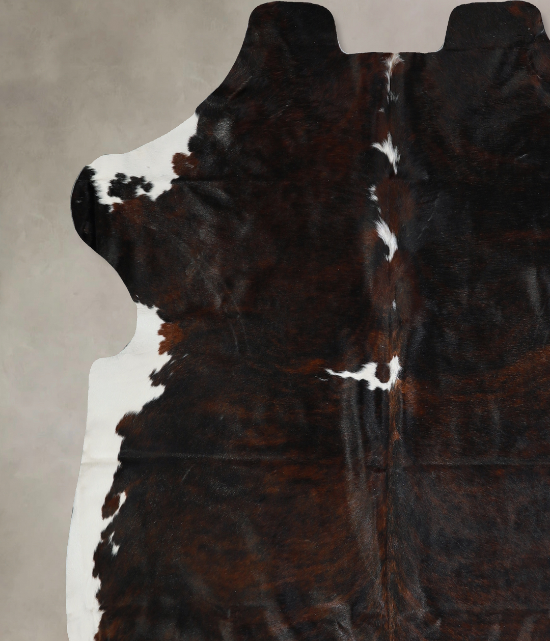 Tricolor X-Large European Cowhide Rug 7'0"H x 6'10"W #A40494 by Hudson