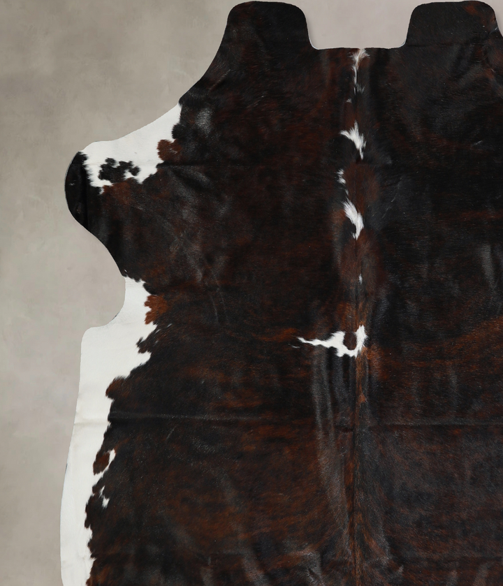Tricolor X-Large European Cowhide Rug 7'0"H x 6'10"W #A40494 by Hudson Hides