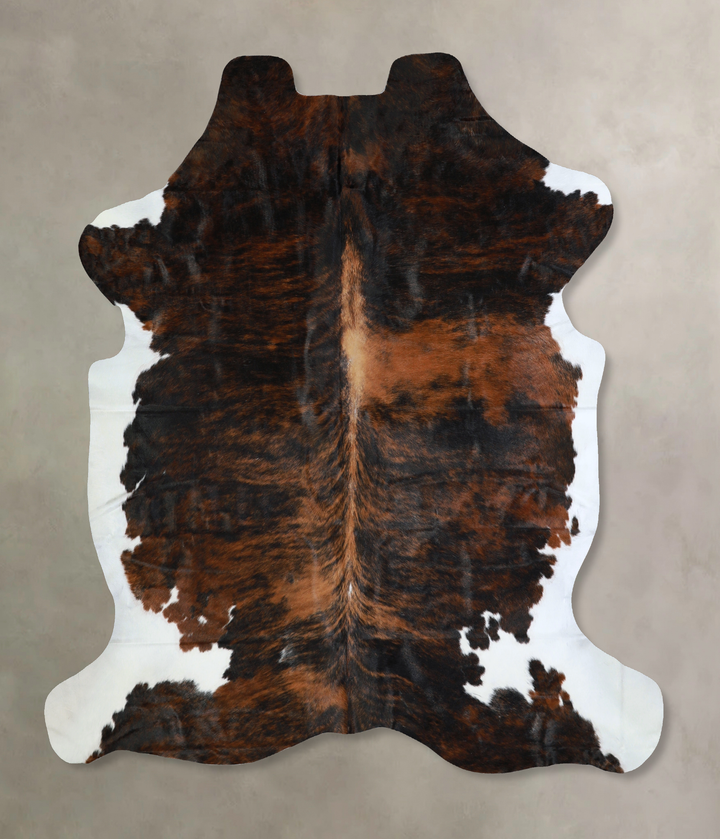 Tricolor X-Large European Cowhide Rug 6'8"H x 6'1"W #A40498 by Hudson Hides