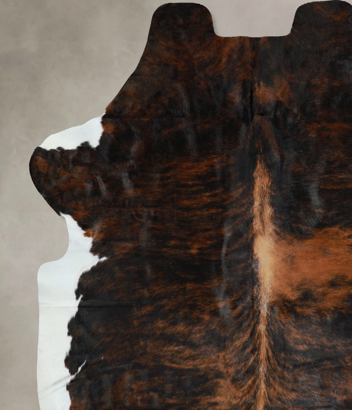 Tricolor X-Large European Cowhide Rug 6'8"H x 6'1"W #A40498 by Hudson Hides