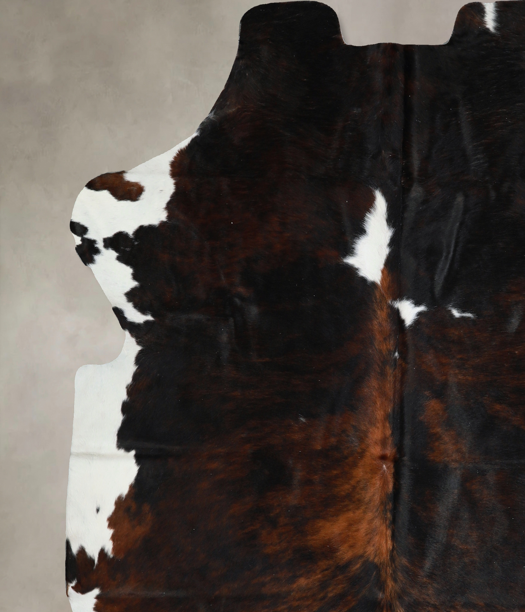 Tricolor X-Large European Cowhide Rug 6'10"H x 6'4"W #A40502 by Hudson