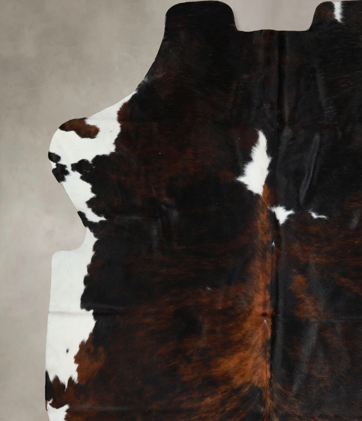 Tricolor X-Large European Cowhide Rug 6'10"H x 6'4"W #A40502 by Hudson Hides