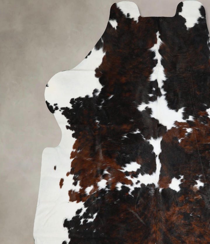 Tricolor X-Large European Cowhide Rug 7'2"H x 6'10"W #A40503 by Hudson Hides