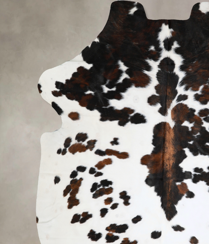 Tricolor X-Large European Cowhide Rug 7'2"H x 6'2"W #A40508 by Hudson Hides