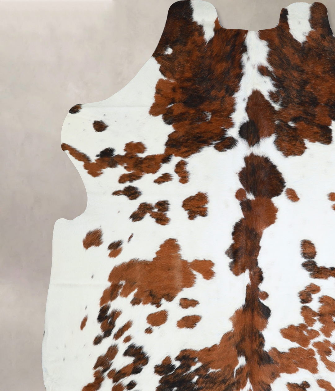 Tricolor X-Large European Cowhide Rug 6'11"H x 6'9"W #A40509 by Hudson