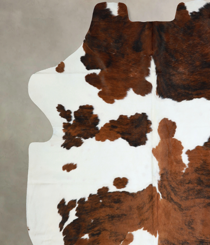 Tricolor X-Large European Cowhide Rug 7'0"H x 6'8"W #A40510 by Hudson Hides