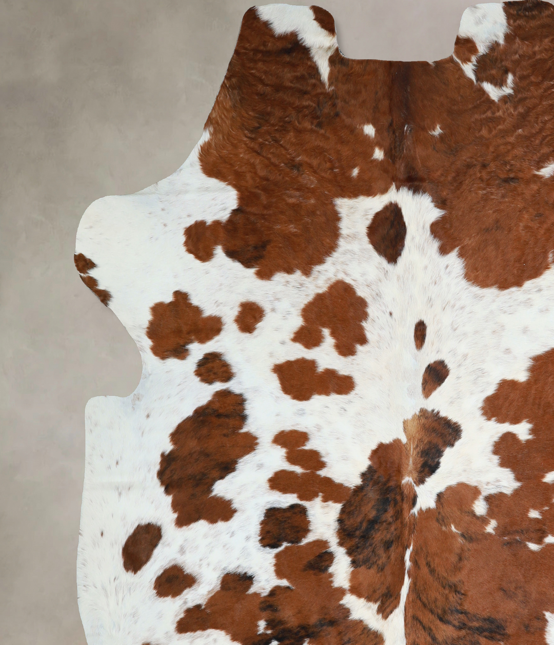 Tricolor X-Large European Cowhide Rug 6'11"H x 6'7"W #A40511 by Hudson