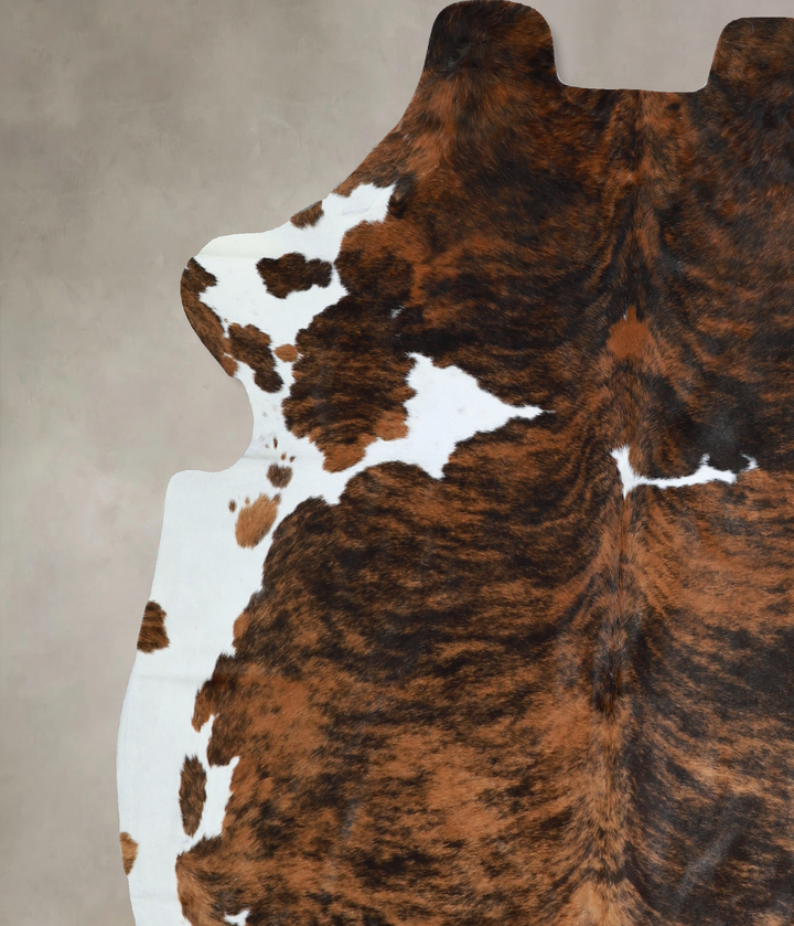 Tricolor X-Large European Cowhide Rug 6'6"H x 6'3"W #A40519 by Hudson Hides