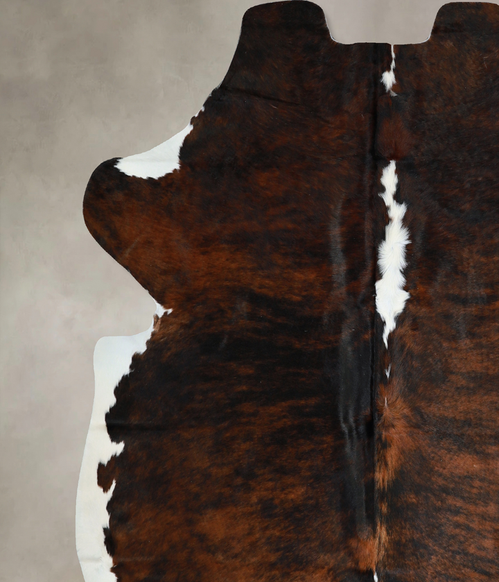 Tricolor X-Large European Cowhide Rug 6'8"H x 6'2"W #A40520 by Hudson Hides