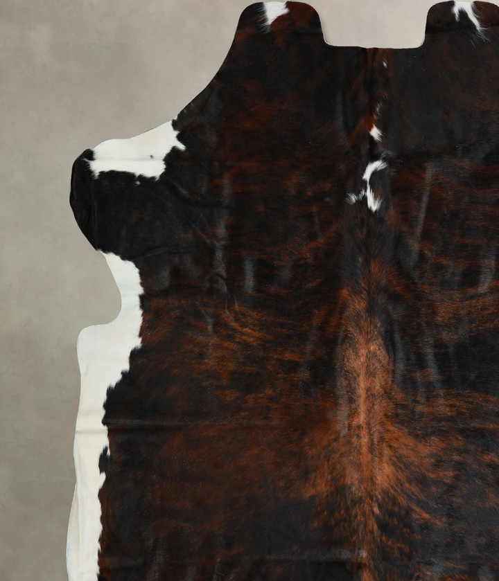 Tricolor X-Large European Cowhide Rug 6'11"H x 6'10"W #A40522 by Hudson Hides