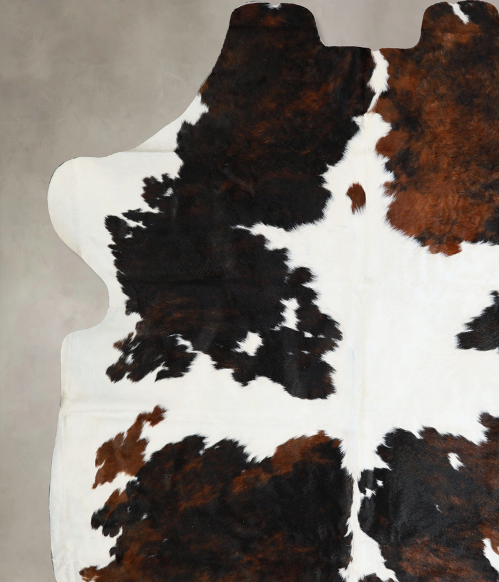 Tricolor X-Large European Cowhide Rug 6'11"H x 6'4"W #A40534 by Hudson Hides