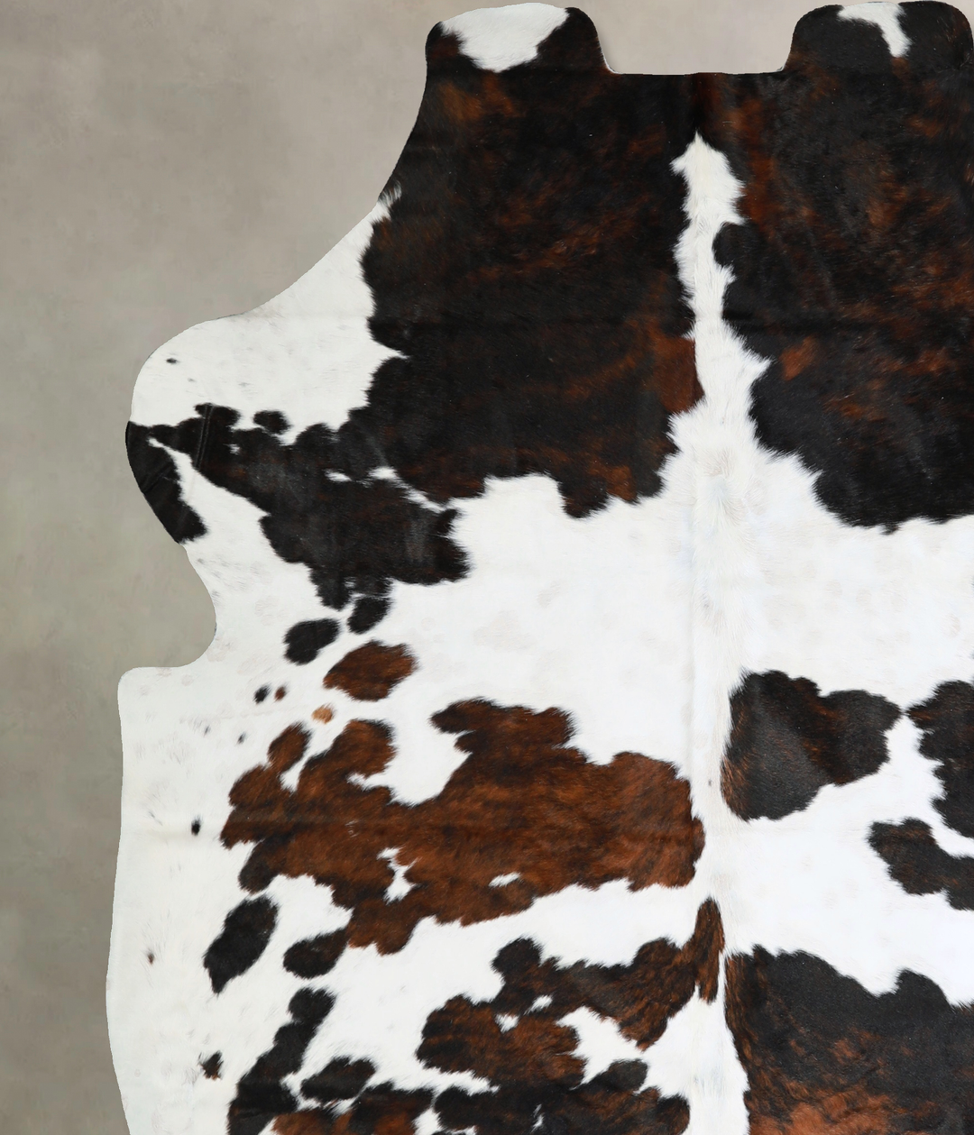 Tricolor X-Large European Cowhide Rug 7'3"H x 6'2"W #A40535 by Hudson