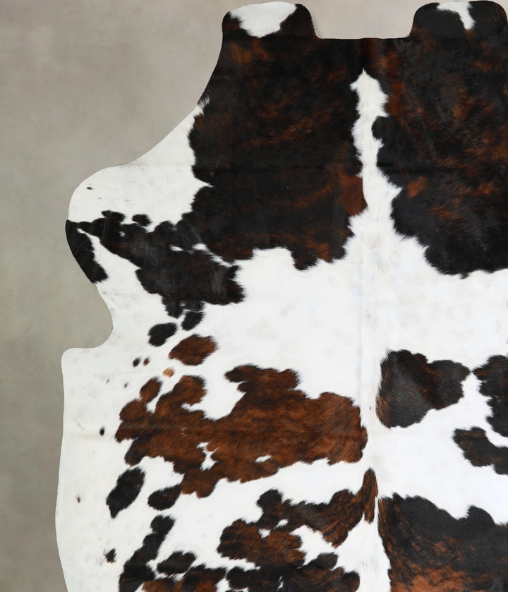 Tricolor X-Large European Cowhide Rug 7'3"H x 6'2"W #A40535 by Hudson Hides