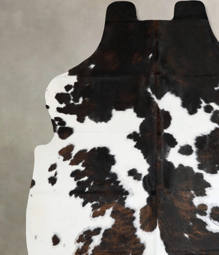 Tricolor X-Large European Cowhide Rug 7'0"H x 6'3"W #A40537 by Hudson Hides