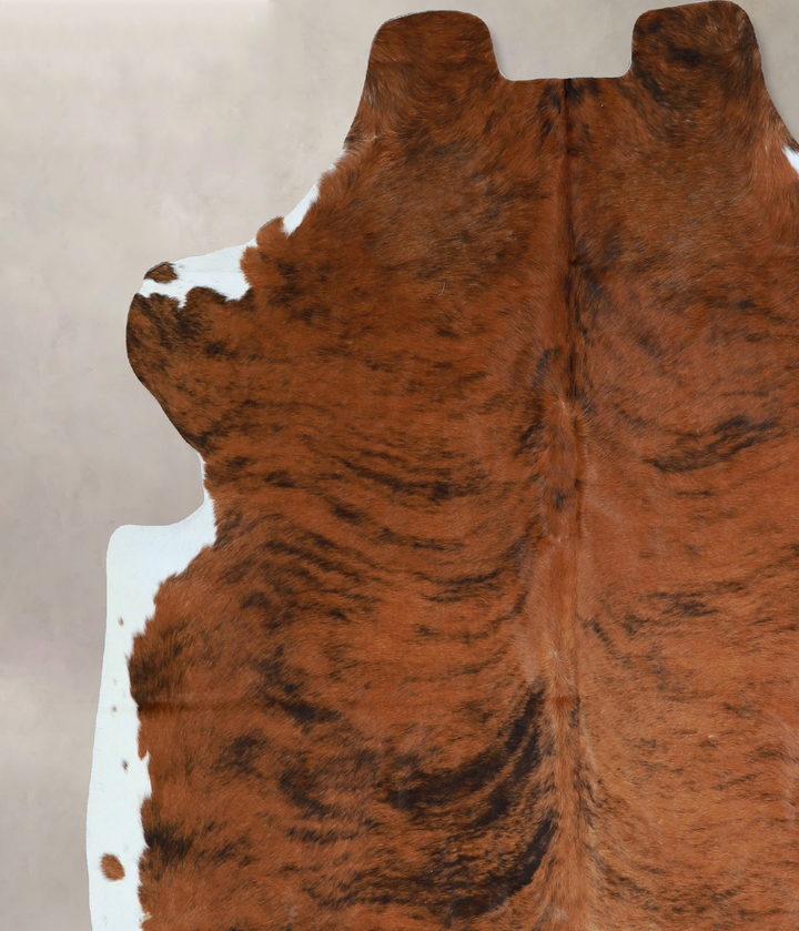 Tricolor X-Large European Cowhide Rug 6'6"H x 6'3"W #A40541 by Hudson Hides