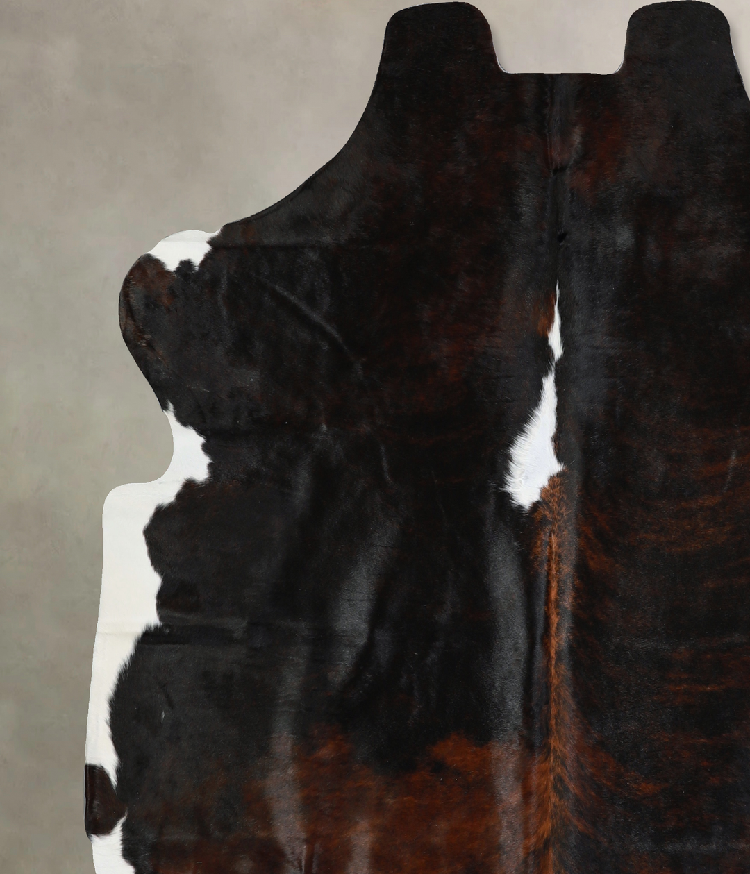 Tricolor X-Large European Cowhide Rug 6'6"H x 6'3"W #A40542 by Hudson