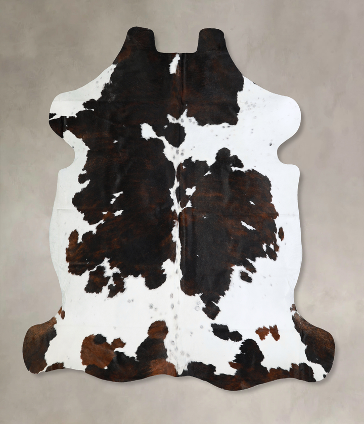 Tricolor X-Large European Cowhide Rug 6'9"H x 6'7"W #A40544 by Hudson Hides