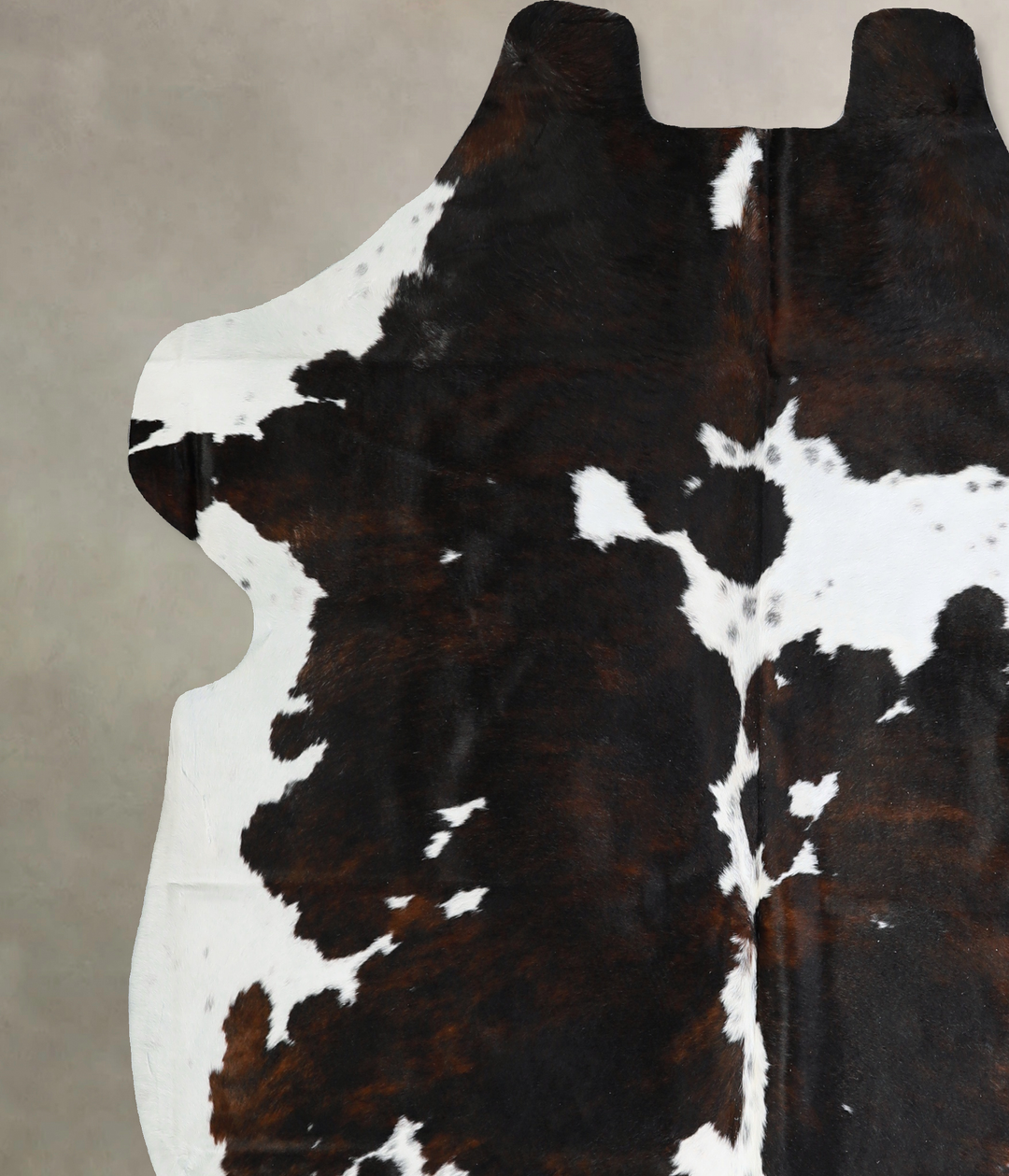 Tricolor X-Large European Cowhide Rug 6'9"H x 6'7"W #A40544 by Hudson
