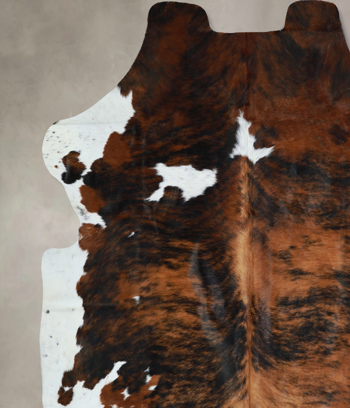 Tricolor X-Large European Cowhide Rug 6'9"H x 6'3"W #A40547 by Hudson Hides