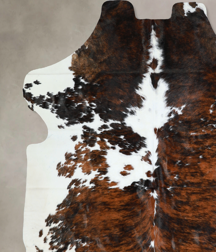 Tricolor X-Large European Cowhide Rug 7'0"H x 6'11"W #A40553 by Hudson Hides
