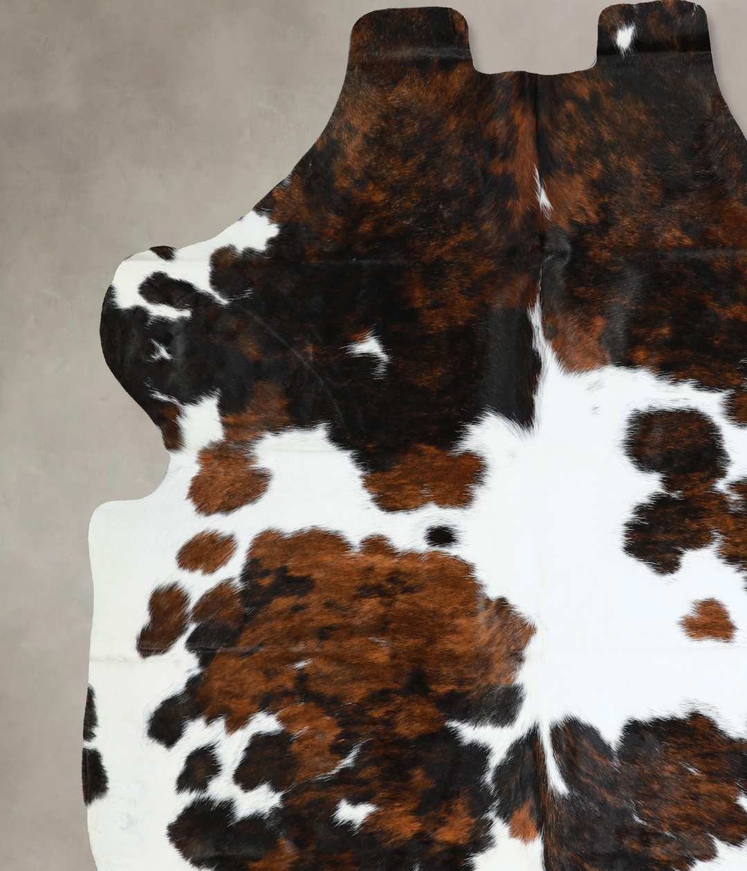 Tricolor X-Large European Cowhide Rug 7'0"H x 6'11"W #A40555 by Hudson